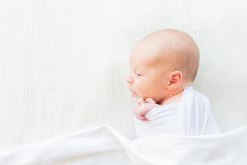 Newborn Photographer feature
