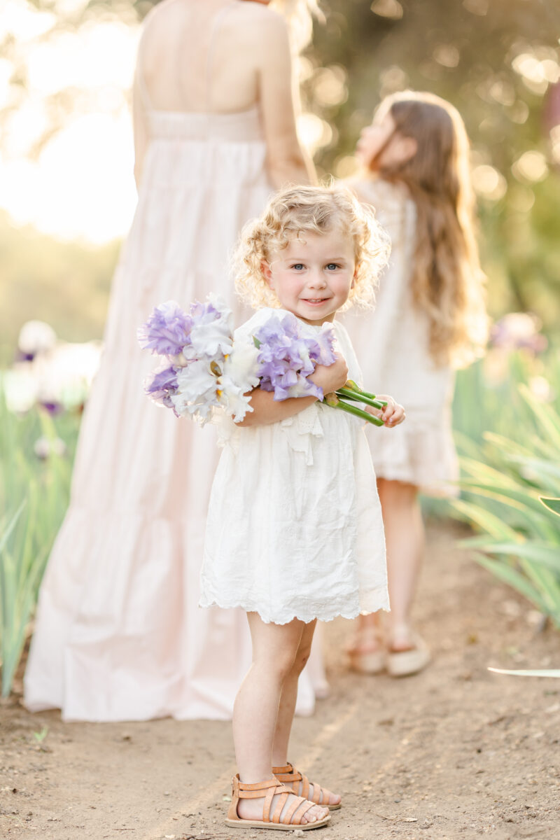 family photography in lavender field in Bay Area California photographed by amber Courtney owner of light livin photography